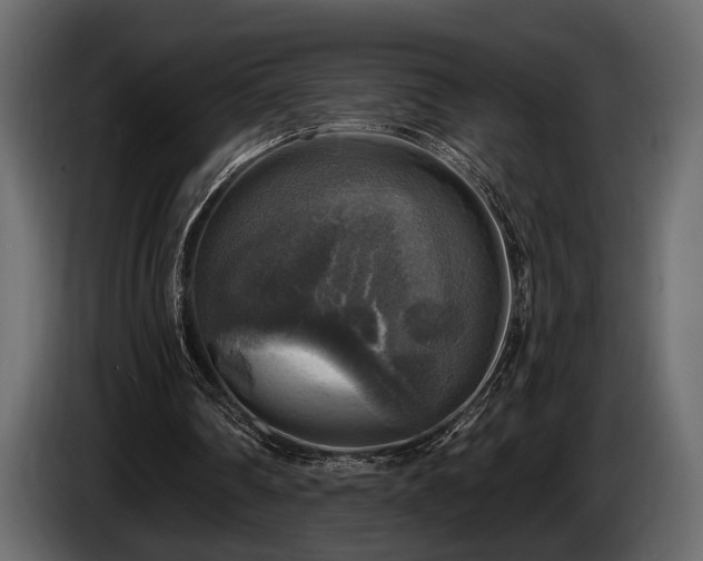 X0000085770290200703231229