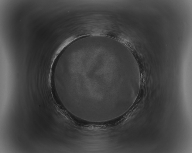 X0000085770292200703231229