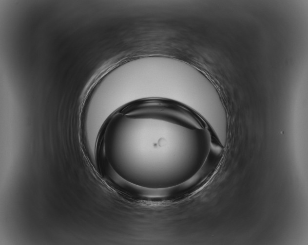 X0000085770293200703231229