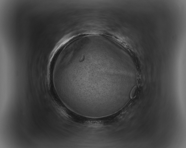 X0000085770296200703231229