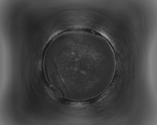 X0000085770297200703231229