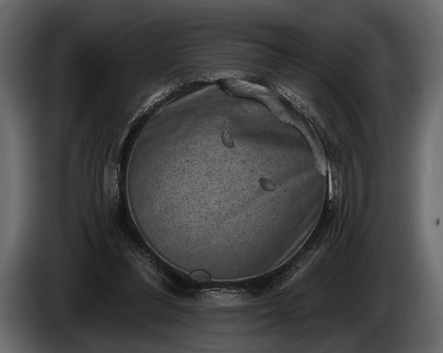 X0000085770300200703231229