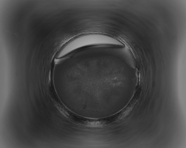 X0000085770301200703231229