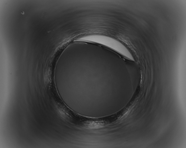 X0000085770303200703231229