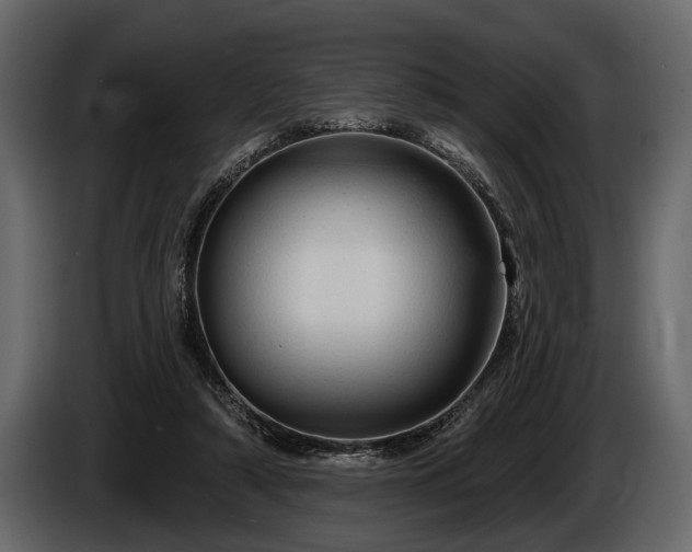 X0000085770306200703231229