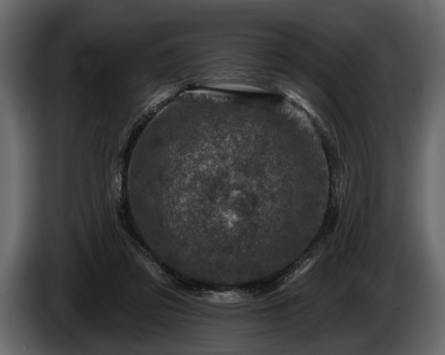 X0000085770309200703231229