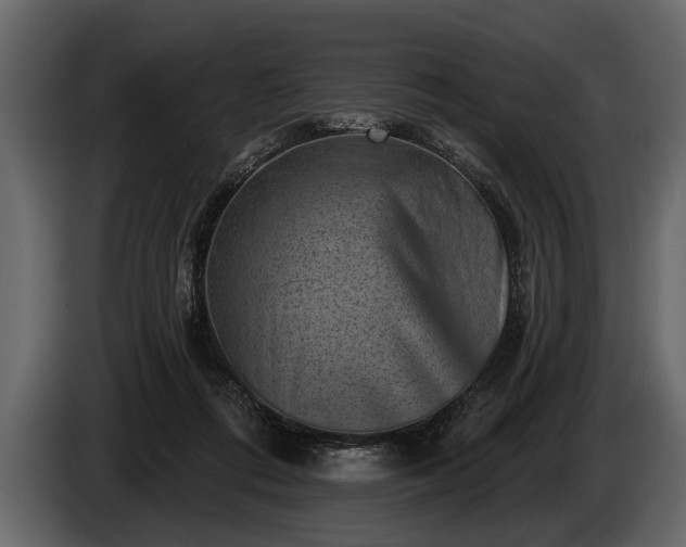 X0000085770312200703231229