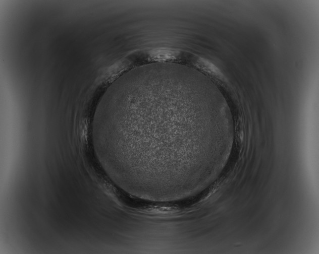 X0000085770315200703231229