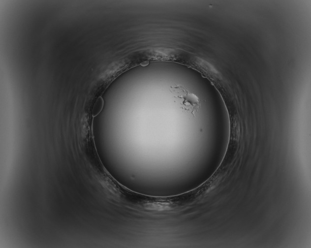 X0000085770318200703231229