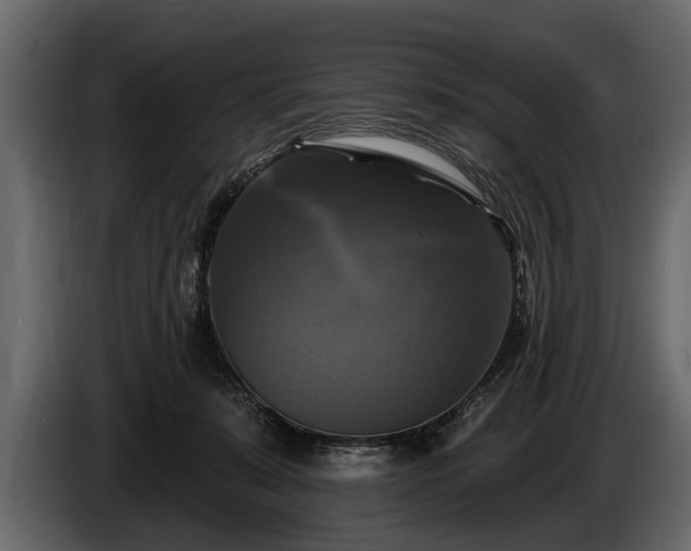 X0000085770319200703231229