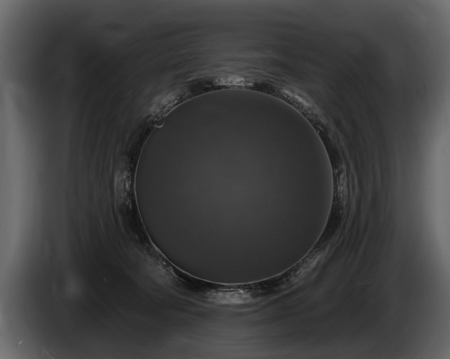 X0000085770322200703231229