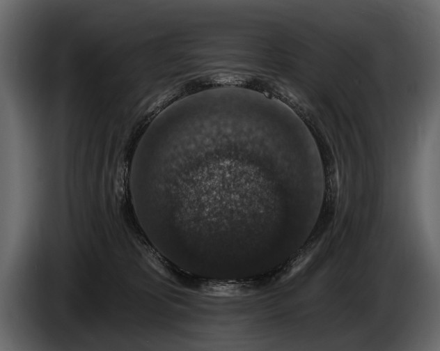 X0000085770325200703231229