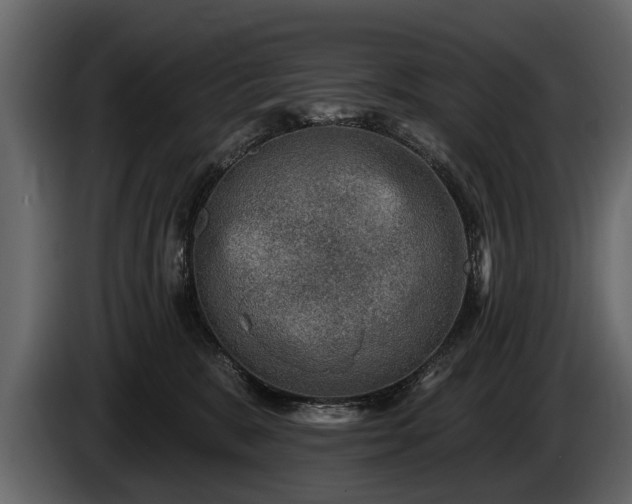 X0000085770327200703231229