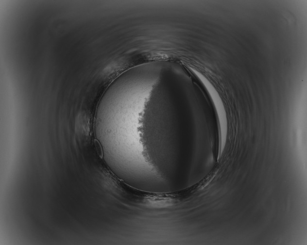 X0000085770331200703231229