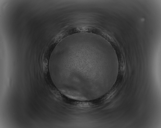 X0000085770332200703231229