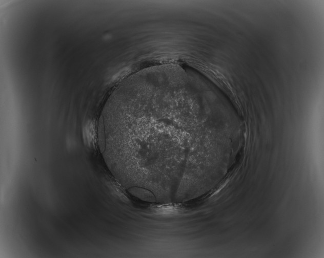 X0000085770335200703231229