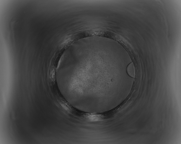 X0000085770336200703231229