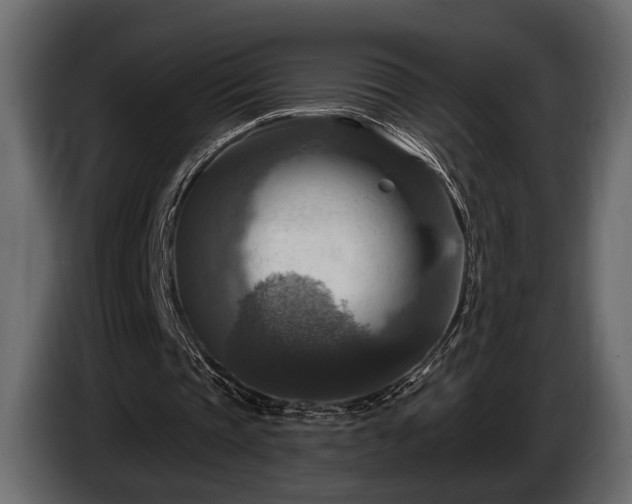 X0000085770337200703231228