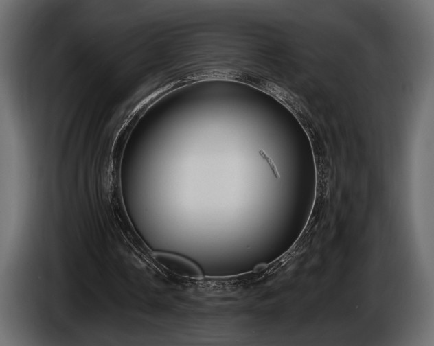 X0000085770338200703231228