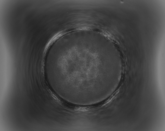 X0000085770341200703231228