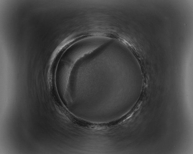 X0000085770343200703231228