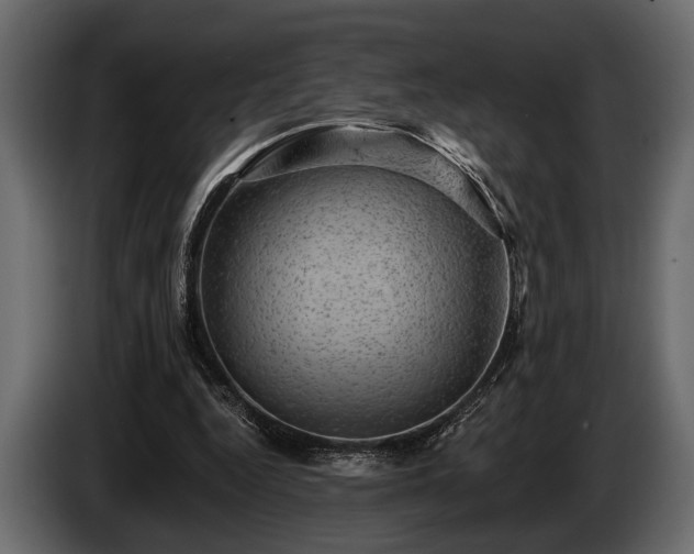 X0000085770344200703231228