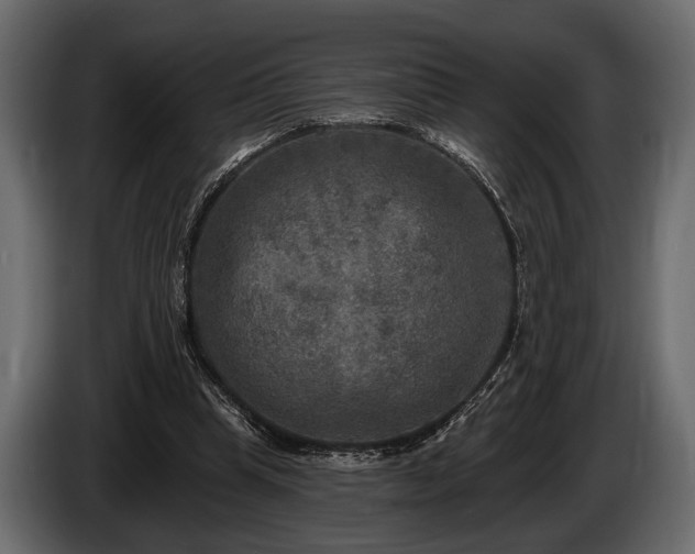 X0000085770345200703231228