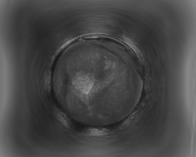 X0000085770346200703231228