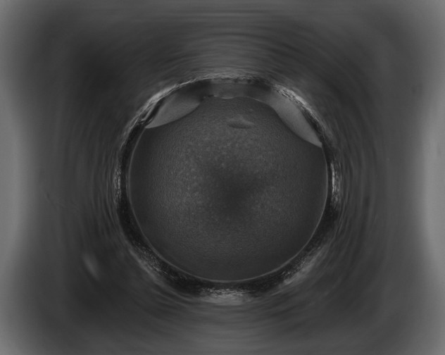 X0000085770348200703231228