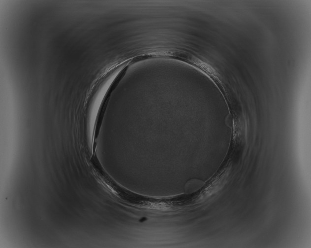 X0000085770349200703231228