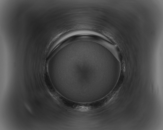 X0000085770352200703231228