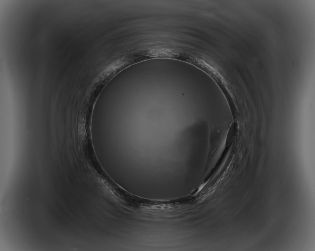 X0000085770353200703231228