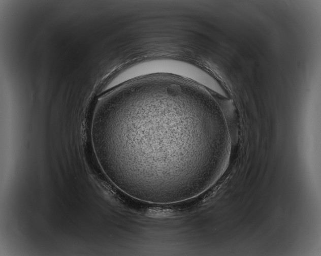 X0000085770354200703231228