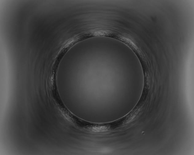 X0000085770357200703231228