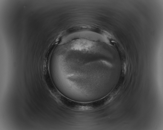 X0000085770360200703231228