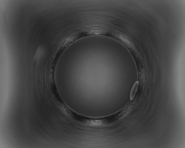 X0000085770361200703231228