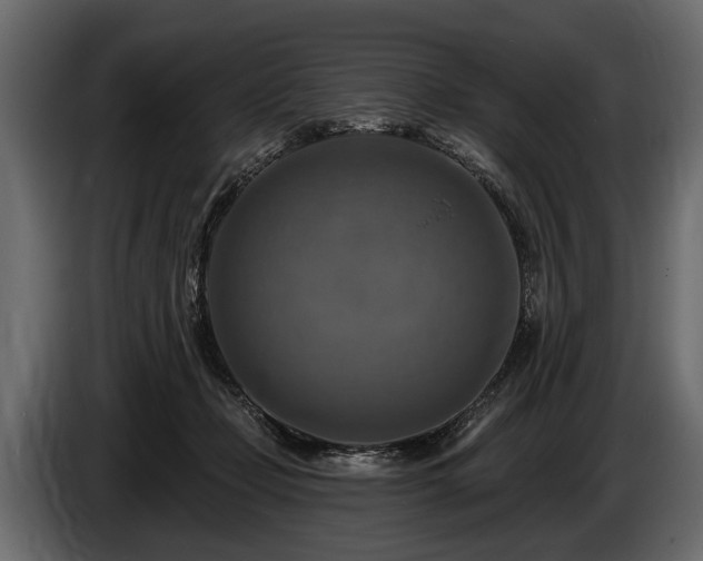 X0000085770365200703231228