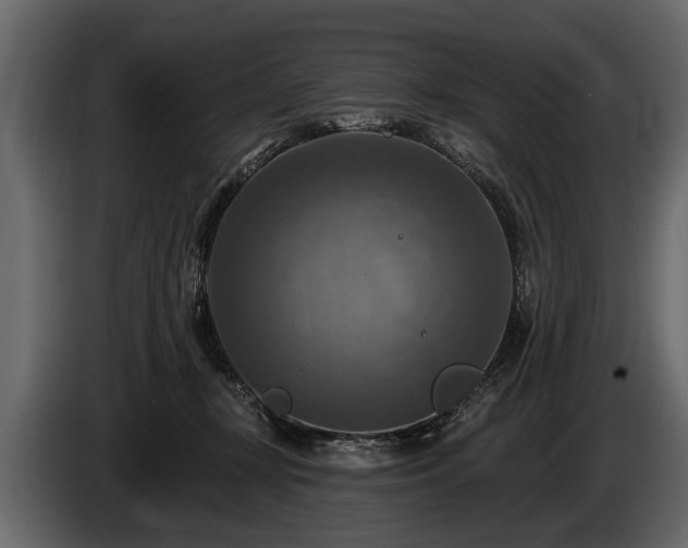 X0000085770367200703231229