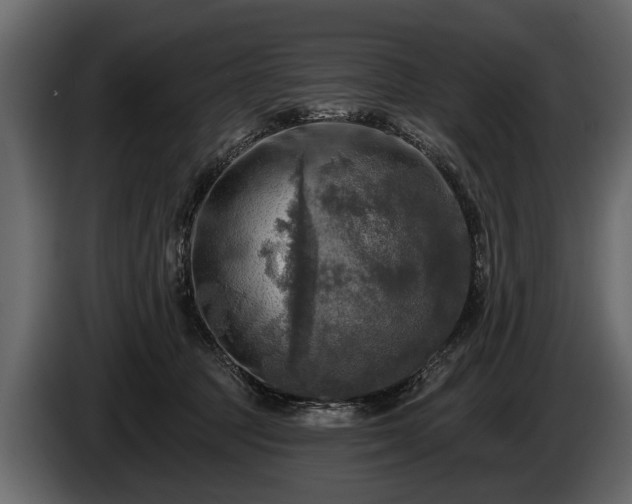 X0000085770369200703231229