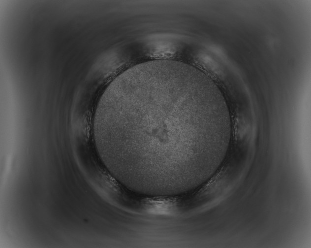 X0000085770370200703231229