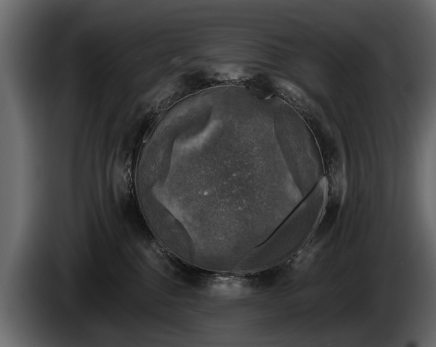 X0000085770376200703231229