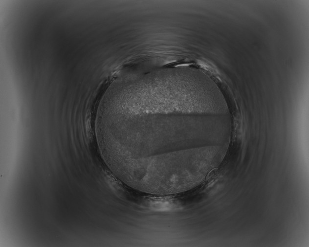 X0000085770377200703231229