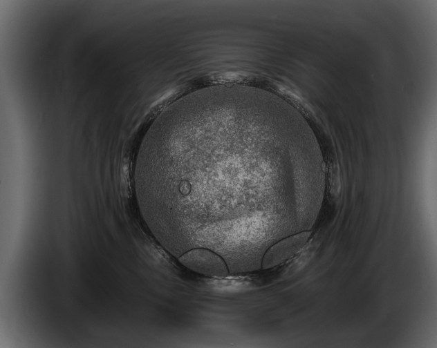 X0000085770378200703231229