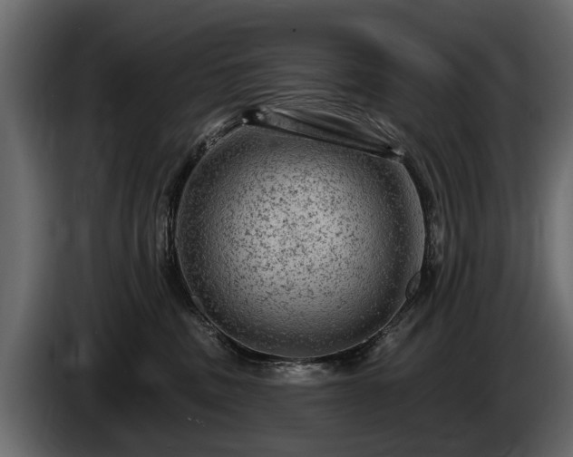 X0000085770379200703231229