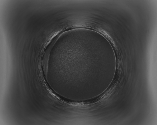 X0000085770385200703231228