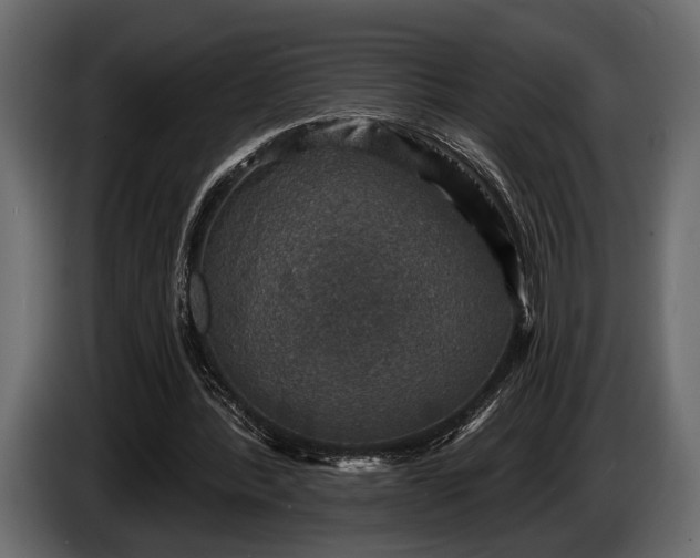 X0000085770388200703231228