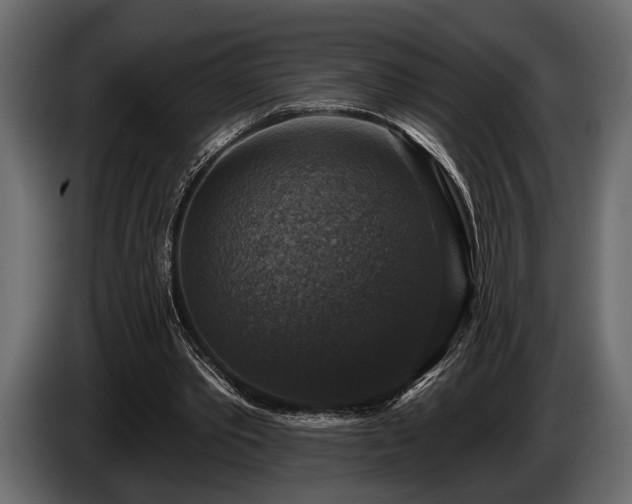 X0000085770389200703231228