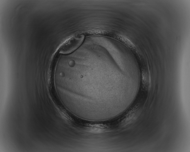 X0000085770396200703231228