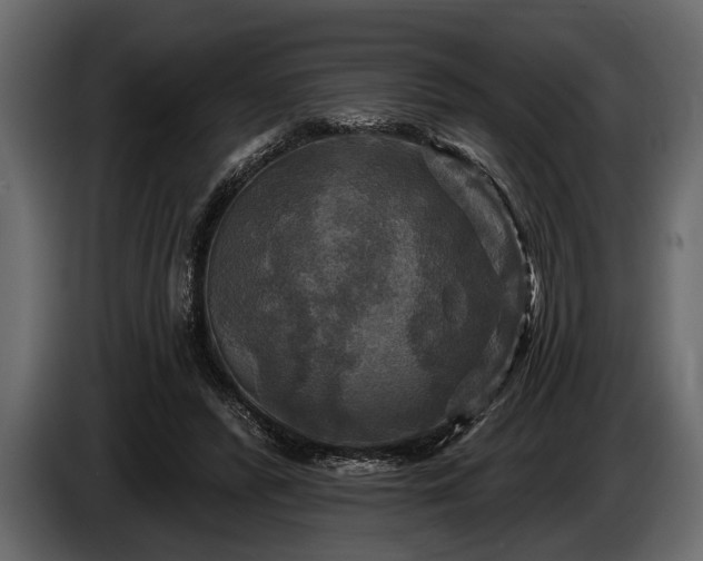 X0000085770400200703231228