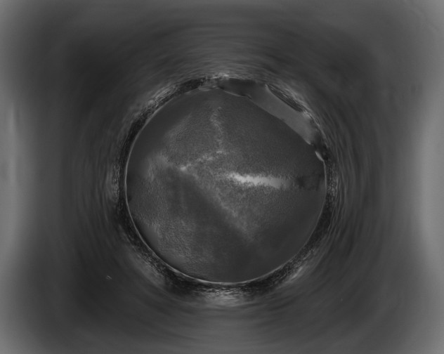 X0000085770402200703231228